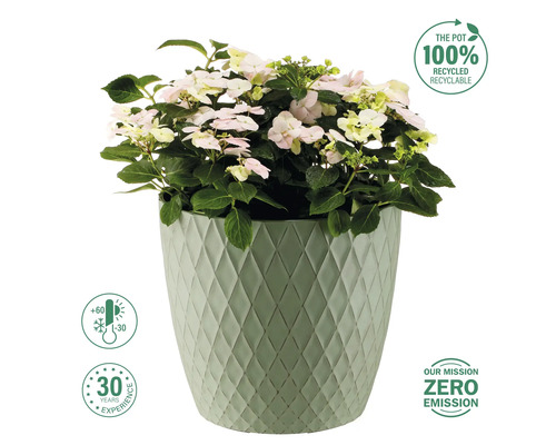 Hortensie în ghiveci cu model în romburi și materiale reciclate. Interval de temperatură de la -30 la +60 de grade. Compania are 30 de ani de experiență și urmărește o strategie de zero emisii.