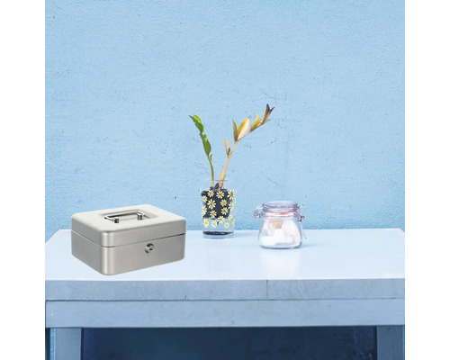 Cutie metalică pentru bani cu cheie, vază cu plante și borcan de sticlă pe o masă