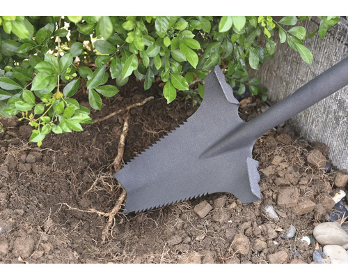 Cazma folosită pentru a scoate pământ și rădăcini în grădină