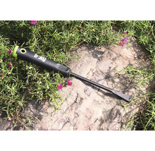 Dispozitiv de scos buruieni For_q pe o piatră cu plante