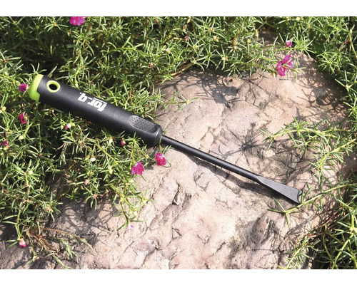 Dispozitiv de scos buruieni For_q pe o piatră cu plante