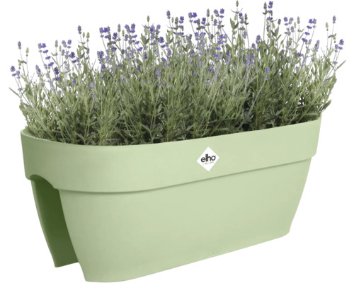 Jardinieră cu plante de lavandă și logo Elho