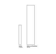 Reprezentarea unei plinte 7,2x59,6 și a unei plăci de podea și de perete 23x120