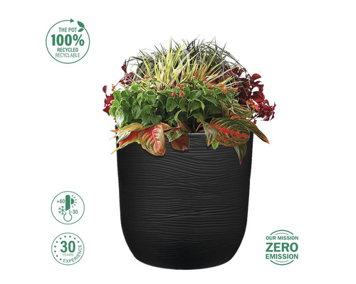 Ghiveci negru cu plante