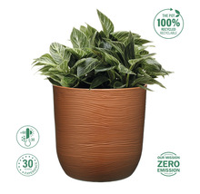 Ghiveci flori Cactus Ø 35 cm H 35 cm cărămiziu
