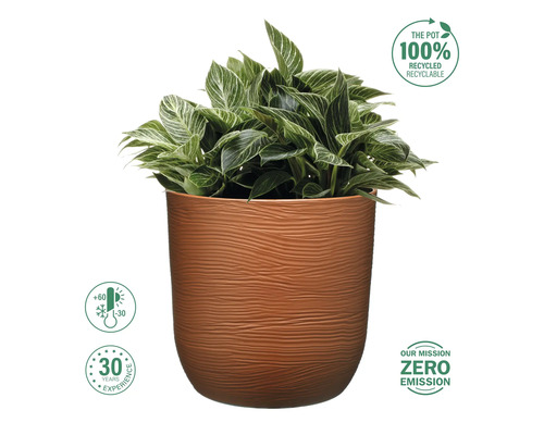 Plantă în ghiveci cu materiale reciclate și rezistență la îngheț