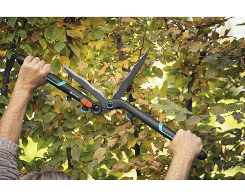 Foarfece de grădină în acțiune pe un gard viu