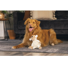 Câine culcat cu o jucărie de pluș pe covor