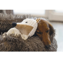 Teckel doarme cu o jucărie într-un pat moale pentru câini