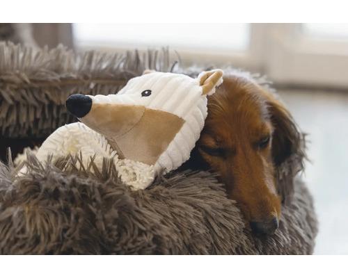 Teckel doarme cu o jucărie într-un pat moale pentru câini