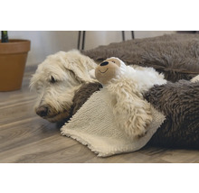 Un câine se odihnește într-un pat pentru câini cu o jucărie de pluș.