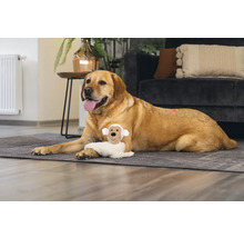 Un labrador stă întins cu o jucărie de câine pe un covor în camera de zi.