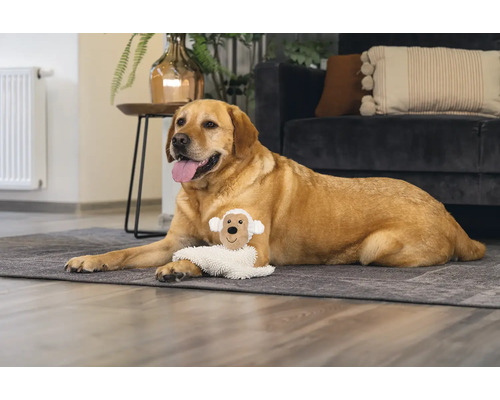 Un labrador stă întins cu o jucărie de câine pe un covor în camera de zi.