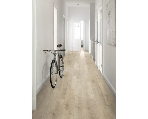 Hol cu podea deschisă la culoare din lemn, pereți albi și o bicicletă