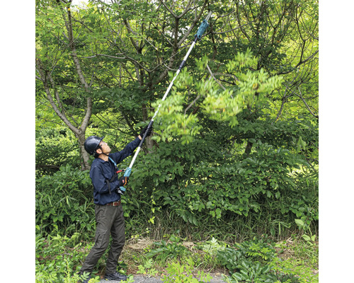 O persoană folosește un fierăstrău cu prăjină pentru tăierea copacilor.