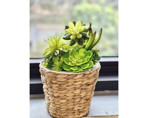 Aranjament de suculente în coș împletit