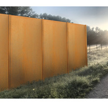 Paravan de confidențialitate din oțel, de culoarea ruginii, în grădină