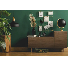 Living cu comodă, decorațiuni și plantă de interior pentru o atmosferă confortabilă