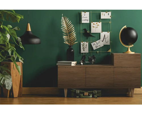 Living cu comodă, decorațiuni și plantă de interior pentru o atmosferă confortabilă