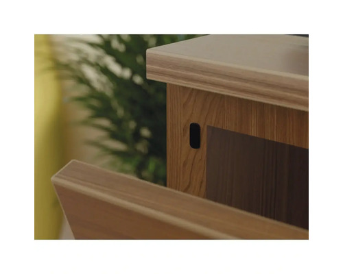 Imagine detaliată a unei piese de mobilier din lemn cu o ușă deschisă