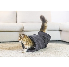 Pisică într-un tunel pentru pisici pe un covor în fața unei canapele