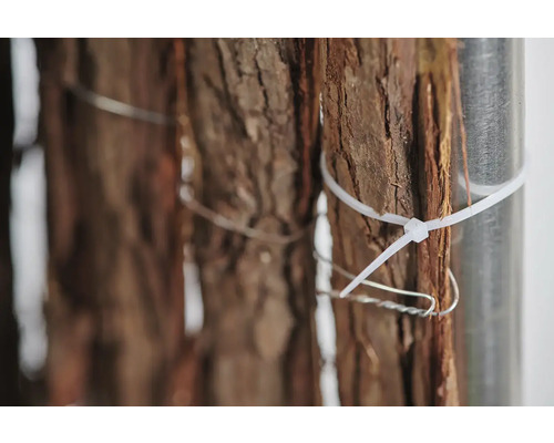 Prim-plan cu scoarță de copac, fixată cu legături de cablu și sârmă de un stâlp metalic