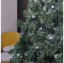 Prim-plan al unui brad verde cu lumini albe