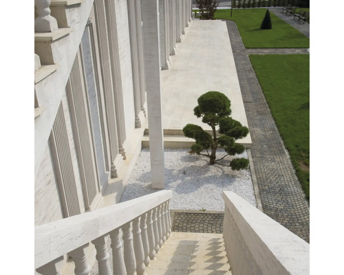 Fotografie exterioară a unei clădiri cu scară, coloane, copac și trotuar