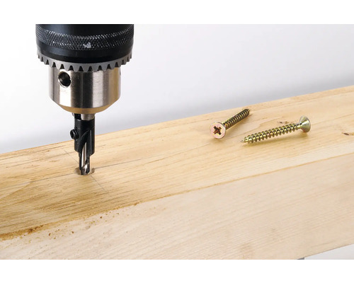 Burghiu cu zencuitor Wolfcraft Ø4,5-11 mm | HORNBACH