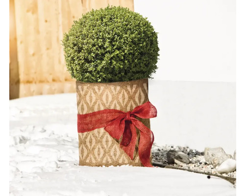 Buxus artificial în ghiveci decorativ cu fundă