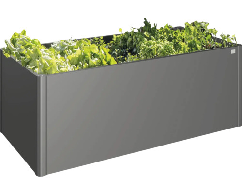 Jardinieră gri cu diverse plante