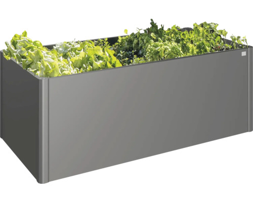 Jardinieră înălțată cu salată și ierburi aromatice