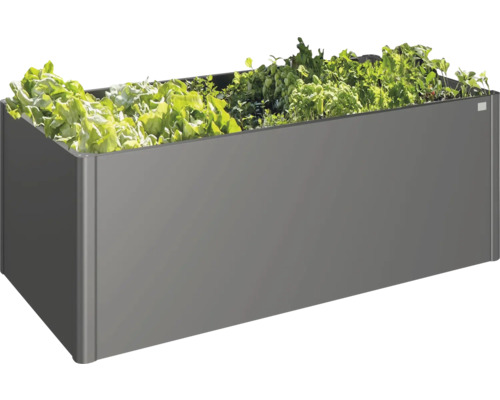 Jardinieră gri cu plante de salată.