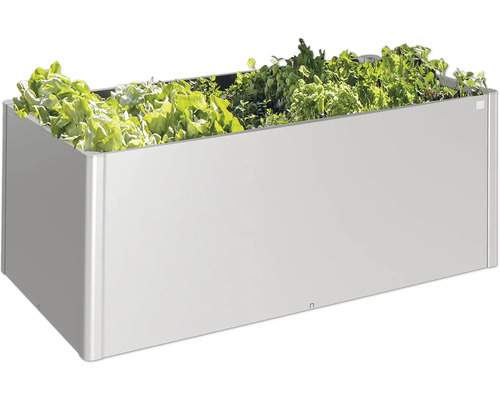 Strat înălțat cu salată și ierburi aromatice