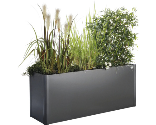 Jardinieră dreptunghiulară cu ierburi și plante verzi