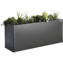 Jardinieră dreptunghiulară cu plante