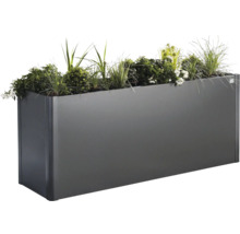 Jardinieră dreptunghiulară metalică cu plante