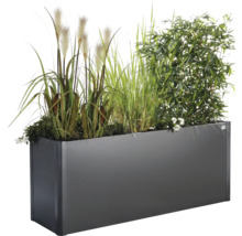 Jardinieră dreptunghiulară cu ierburi și plante verzi