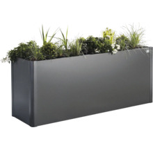 Jardinieră dreptunghiulară din metal cu plante