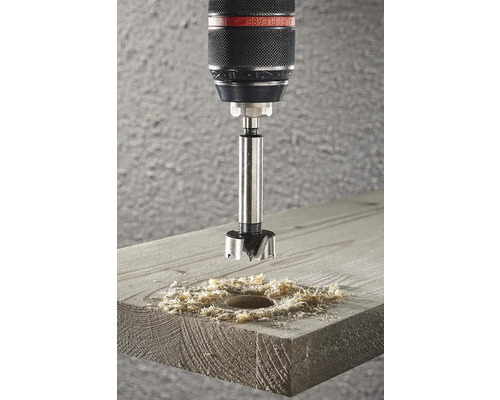 Freză Forstner Wolfcraft Ø25 mm, prindere Ø8 mm | HORNBACH