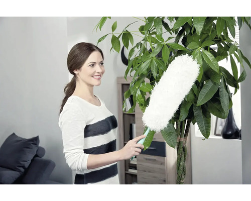 Femeie ștergând praful de pe o plantă de interior cu un pămătuf