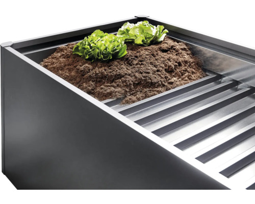 Jardineră înălțată cu pământ și plante de salată