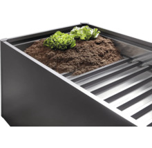 Jardină supraînălțată cu pământ și plante de salată.