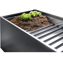 Jardinieră înaltă cu pământ și plante de salată