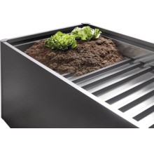 Jardiniere înaltă cu pământ și plante de salată