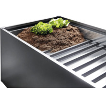 Jardiniere înaltă cu pământ și plante de salată