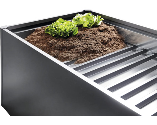 Jardiniere înaltă cu pământ și plante de salată