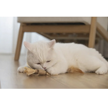 O pisică albă stă culcată pe podea cu o jucărie pentru pisici.