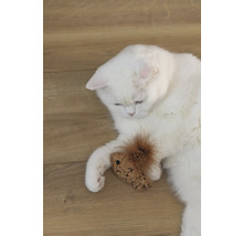 O pisică albă stă întinsă cu o jucărie pe o podea de lemn.