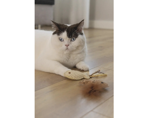 O pisică stă întinsă cu o jucărie șoarece și o jucărie pește pe o podea de lemn.